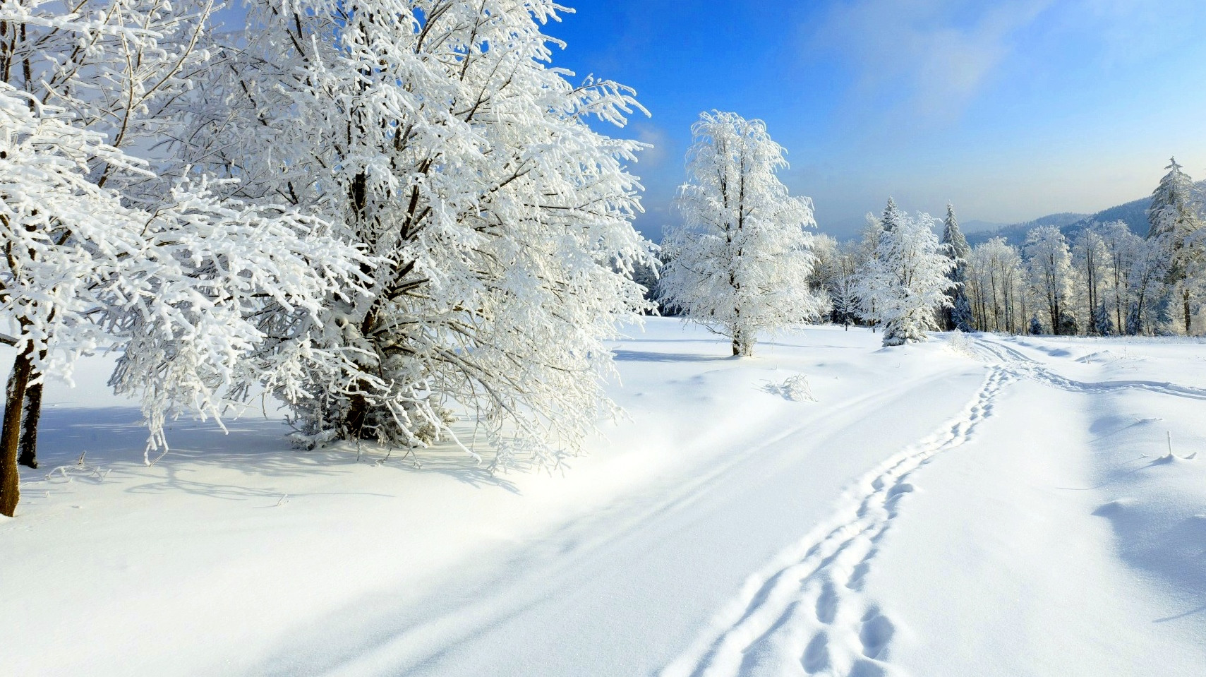 январь. середина зимы картинки. середина зимы картинки. половина зимы. середина зимы.