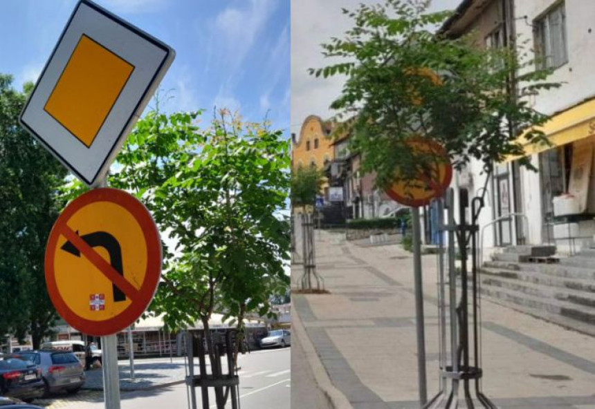 DO: Nesposobna vlast- nevidljivi saobraćajni znakovi