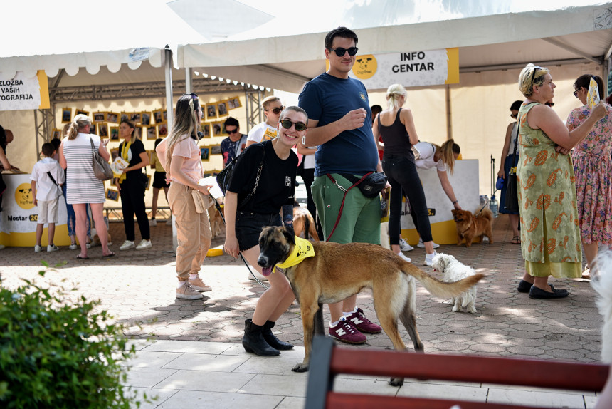 Dogs Trust organizovao veliko druženje u Mostaru