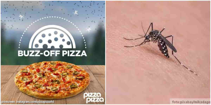 Napravljena prva pica (pizza) protiv komaraca?!