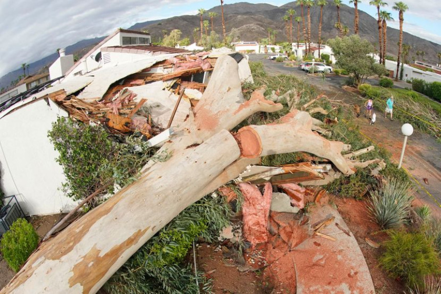 Tropska oluja lomi drveće u južnoj Kaliforniji