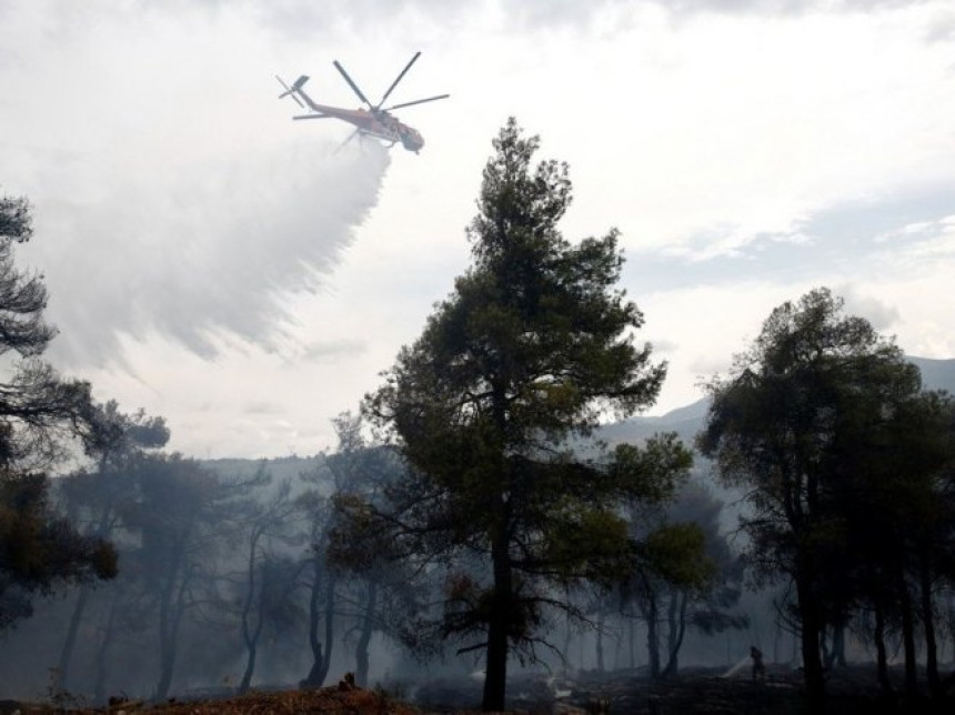 Grčka: Požar konačno popušta, nesagledive štete