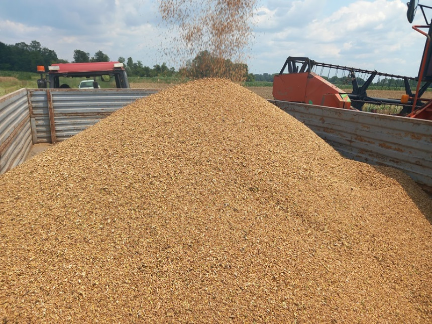 Istražiti cijenu ukrajinske pšenice koja dolazi u BiH