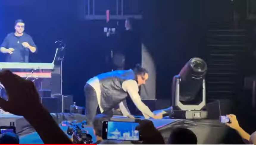 Željko Bebek se sapleo i pao na koncertu (VIDEO)
