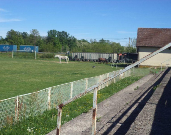 Srbac; Fudbalski teren pretvoren u pašnjak