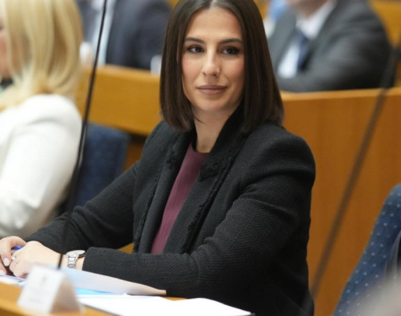 Sve je u interesu Dodika, pa i ovaj zakon o policiji