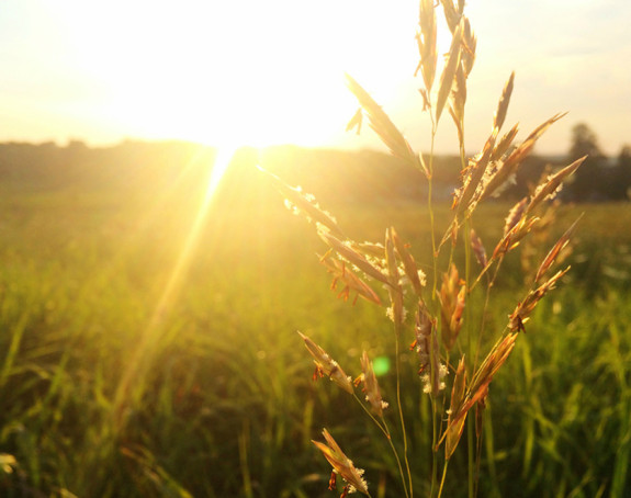 Sunčano i vruće, temperatura i do 40 stepeni