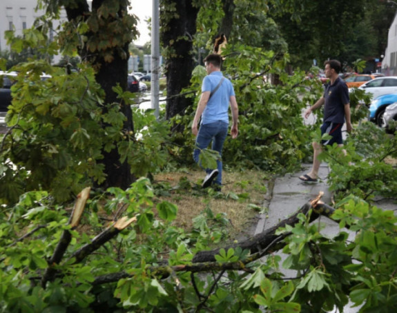 Novi Sad: Stablo palo na dijete i ženu tokom nevremena