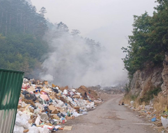 Požari u opštini Višegrad stavljeni pod kontrolu