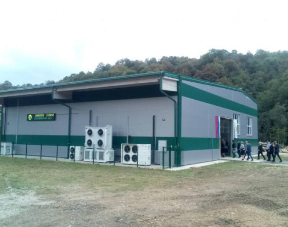 Fabrika ne radi, berači gljiva na platnom spisku Šuma