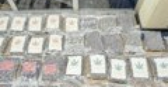 U Novom Sadu zaplijenjeno 50 kg marihuane