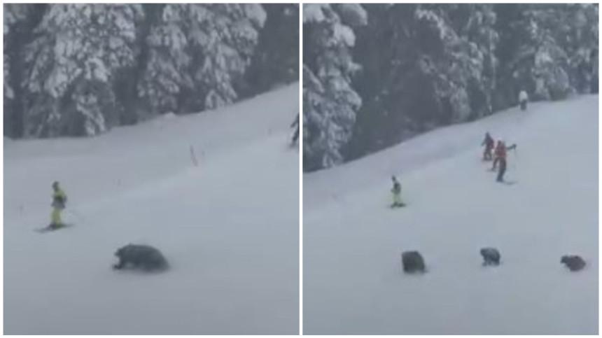 Медвједи напали скијаше на стази у Америци (ВИДЕО)