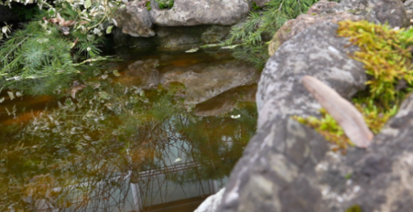 Danas promjenljivo oblačno i toplije, i do 18 stepeni