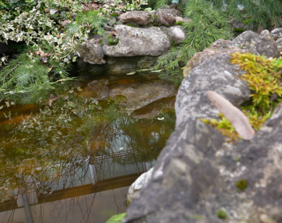 Danas promjenljivo oblačno i toplije, i do 18 stepeni