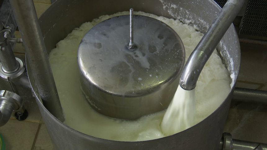 Otkup mlijeka u Srpskoj opada, u Federaciji raste