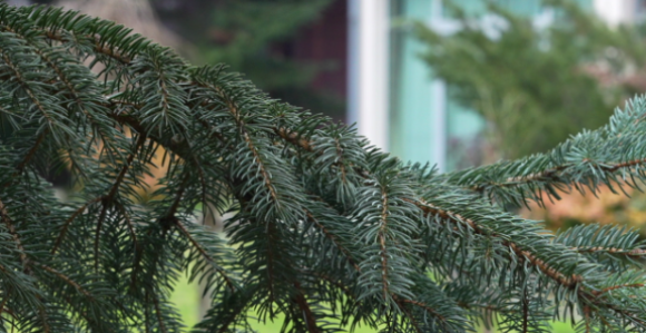 Данас сунчано, температура ваздуха и до 20 степени