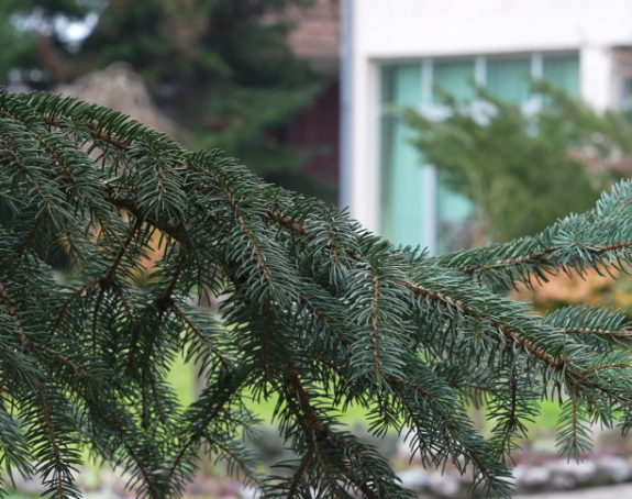 Danas sunčano, temperatura vazduha i do 20 stepeni