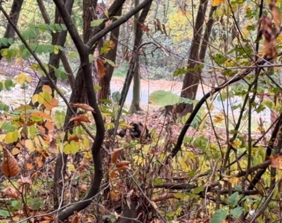 Danas će biti toplo i promjenljivo oblačno vrijeme