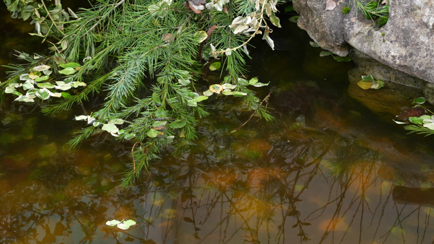 Данас сунчано и топлије од просјека, до 20 степени