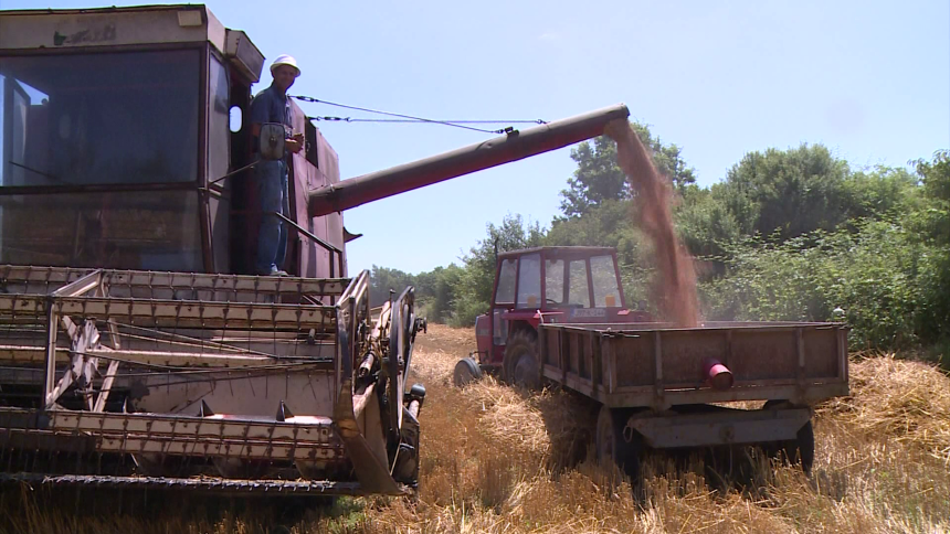 Novi porast cijena hrane zbog skuplje pšenice i biljnih ulja