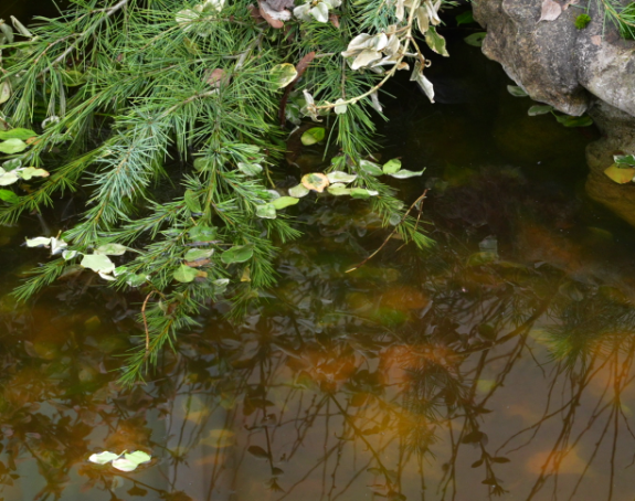 Danas sunčano i toplije od prosjeka, do 20 stepeni