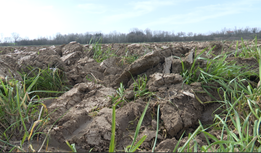 Пољопривредници Семберије огорчени: Гдје су залихе?