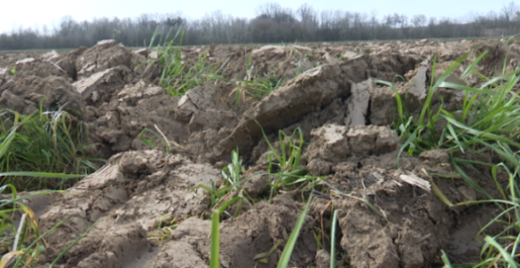 Пољопривредници Семберије огорчени: Гдје су залихе?