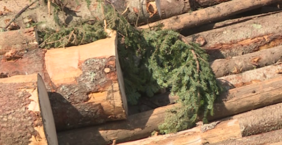 Radnici čekaju plate, a milioni se bacaju na sistem koji ne radi