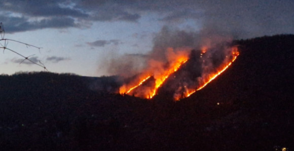 Požar kod Foče zahvatio šumu i nisko rastinje