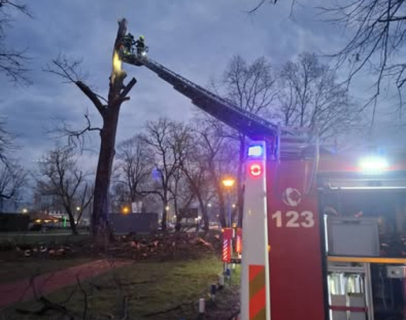 Grom udario u drvo tokom nevremena u Banjaluci