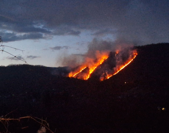 Požar kod Foče zahvatio šumu i nisko rastinje