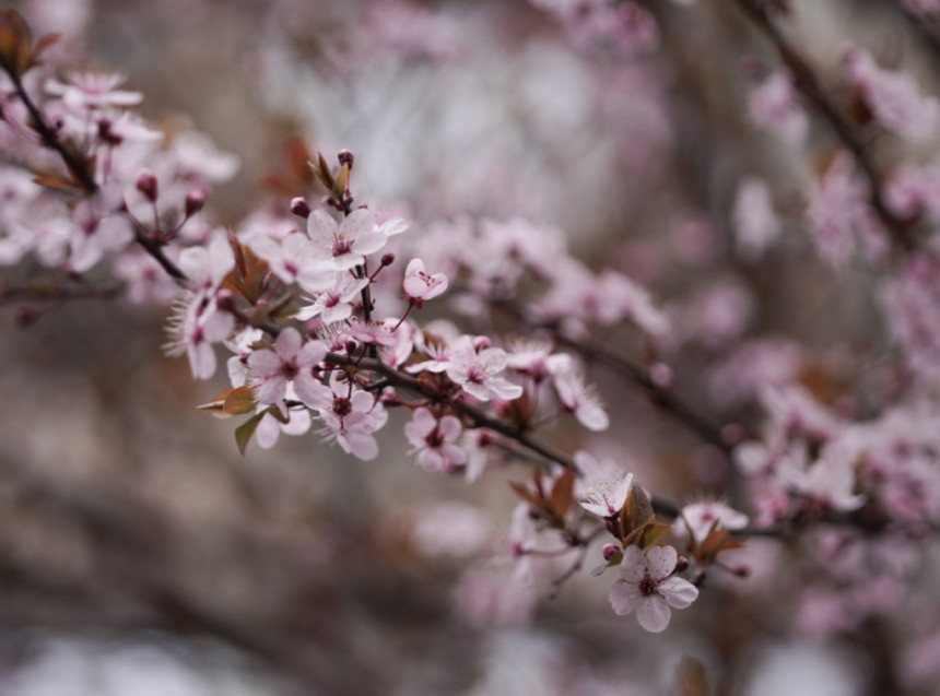 Vrijeme danas: Promjenjivo, smjena sunca, oblaka i kiše