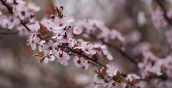 Vrijeme danas: Promjenjivo, smjena sunca, oblaka i kiše