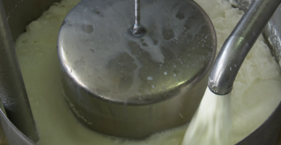 Poljoprivrednici čekaju isplatu četiri premije za mlijeko