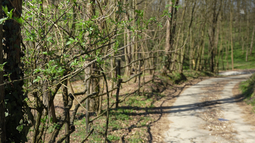 Promjenljivo oblačno uz povremenu kišu, do 17 stepeni