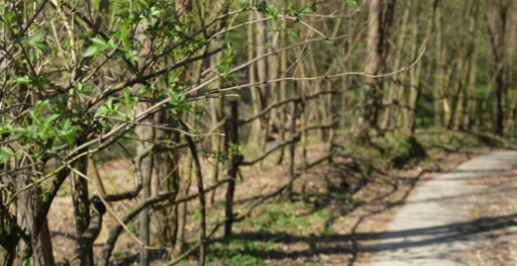 Промјенљиво облачно уз повремену кишу, до 17 степени