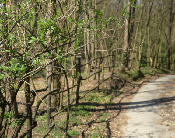 Promjenljivo oblačno uz povremenu kišu, do 17 stepeni