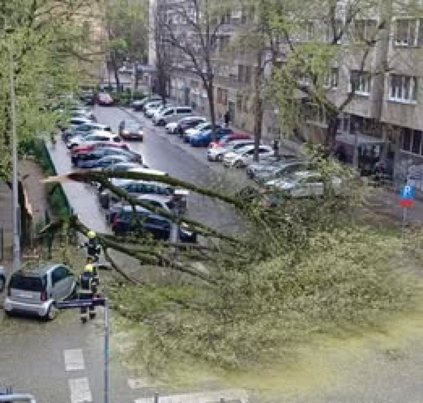 Словенија: Хиљаде без струје, затворене школе и вртићи