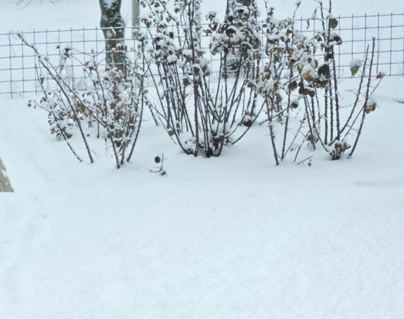 Hladno vrijeme uz česte padavine sve do 11. aprila