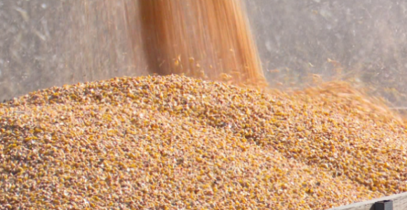 Пољопривредници у проблему, сјетва скупља и до 50 %