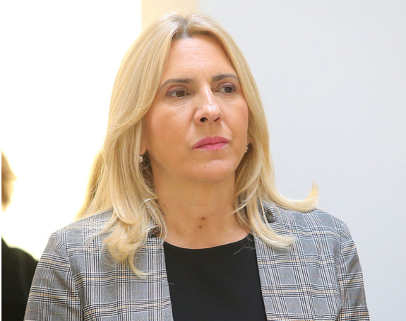 Cvijanović: Daćemo dodatni polet američkim investitorima