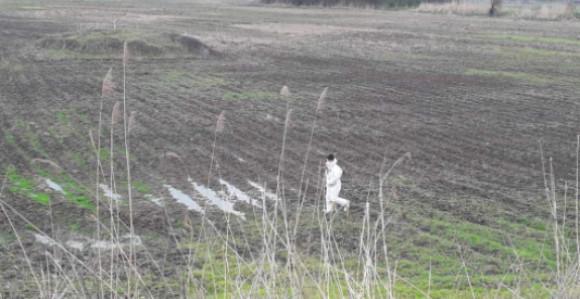 Еколошки аларм на Бардачи: Пронађени угинули лабудови