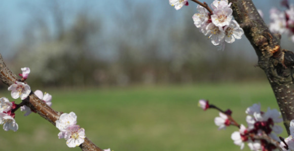 Pretežno sunčano uz prolaznu oblačnost, do 21 stepen