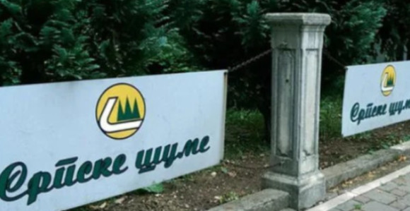 Управа "Шума РС" наредила "пеглање" милионског губитка?