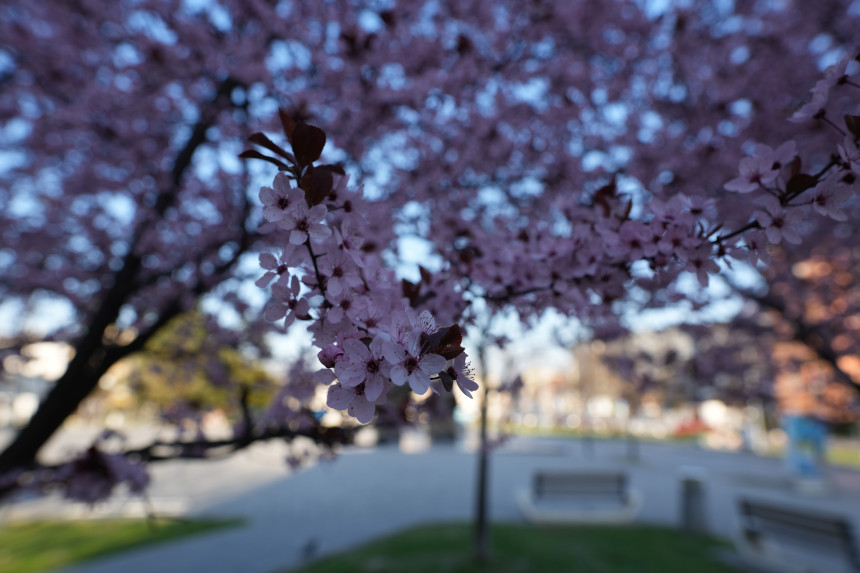 Šta kaže prognoza, kakvo nas vrijeme čeka za Vaskrs?