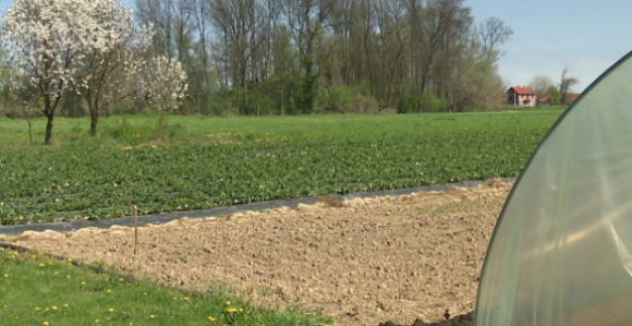 Za poljoprivredu svaka godina sve teža, a ova je strahovita