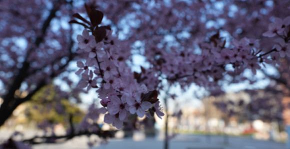 Шта каже прогноза, какво нас вријеме чека за Васкрс?