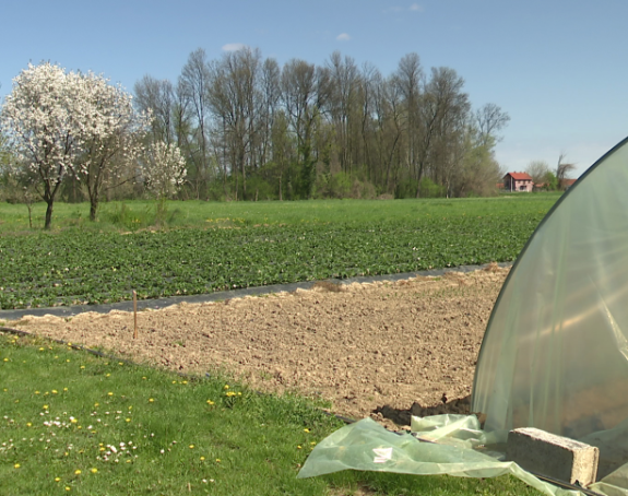 Za poljoprivredu svaka godina sve teža, ova je strahovita