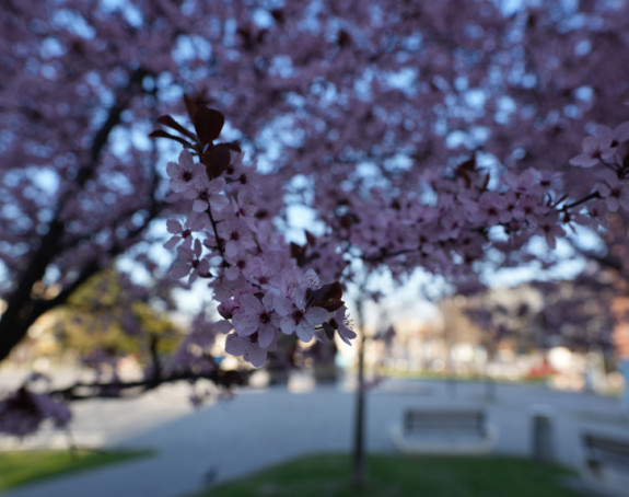 Šta kaže prognoza, kakvo nas vrijeme čeka za Vaskrs?