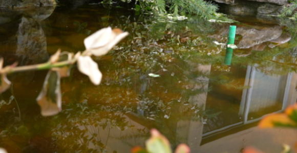 Oblačno i svježije uz povremenu kišu, na jugu s grmljavinom